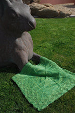 Load image into Gallery viewer, Olympic Forest Baby Blanket