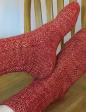 Load image into Gallery viewer, Cousteau Socks