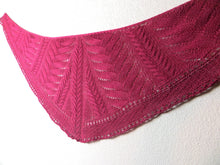 Load image into Gallery viewer, Equus Shawl
