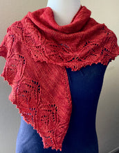 Load image into Gallery viewer, Zinderella Shawl