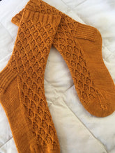 Load image into Gallery viewer, Flying Buttress Socks