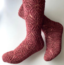 Load image into Gallery viewer, Zinderella Socks