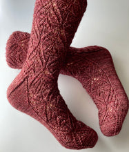 Load image into Gallery viewer, Zinderella Socks