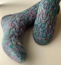 Load image into Gallery viewer, Trident Socks