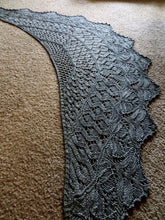 Load image into Gallery viewer, Darwin Shawl