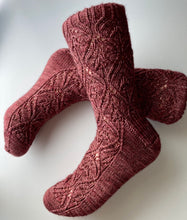 Load image into Gallery viewer, Zinderella Socks