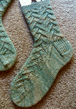 Load image into Gallery viewer, Salix Socks