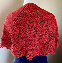 Load image into Gallery viewer, Zinderella Shawl