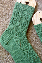 Load image into Gallery viewer, Paragon Socks