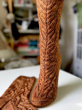 Load image into Gallery viewer, Segmented Socks
