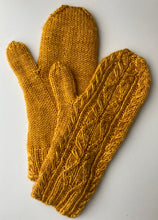 Load image into Gallery viewer, Woodland Sage Mittens
